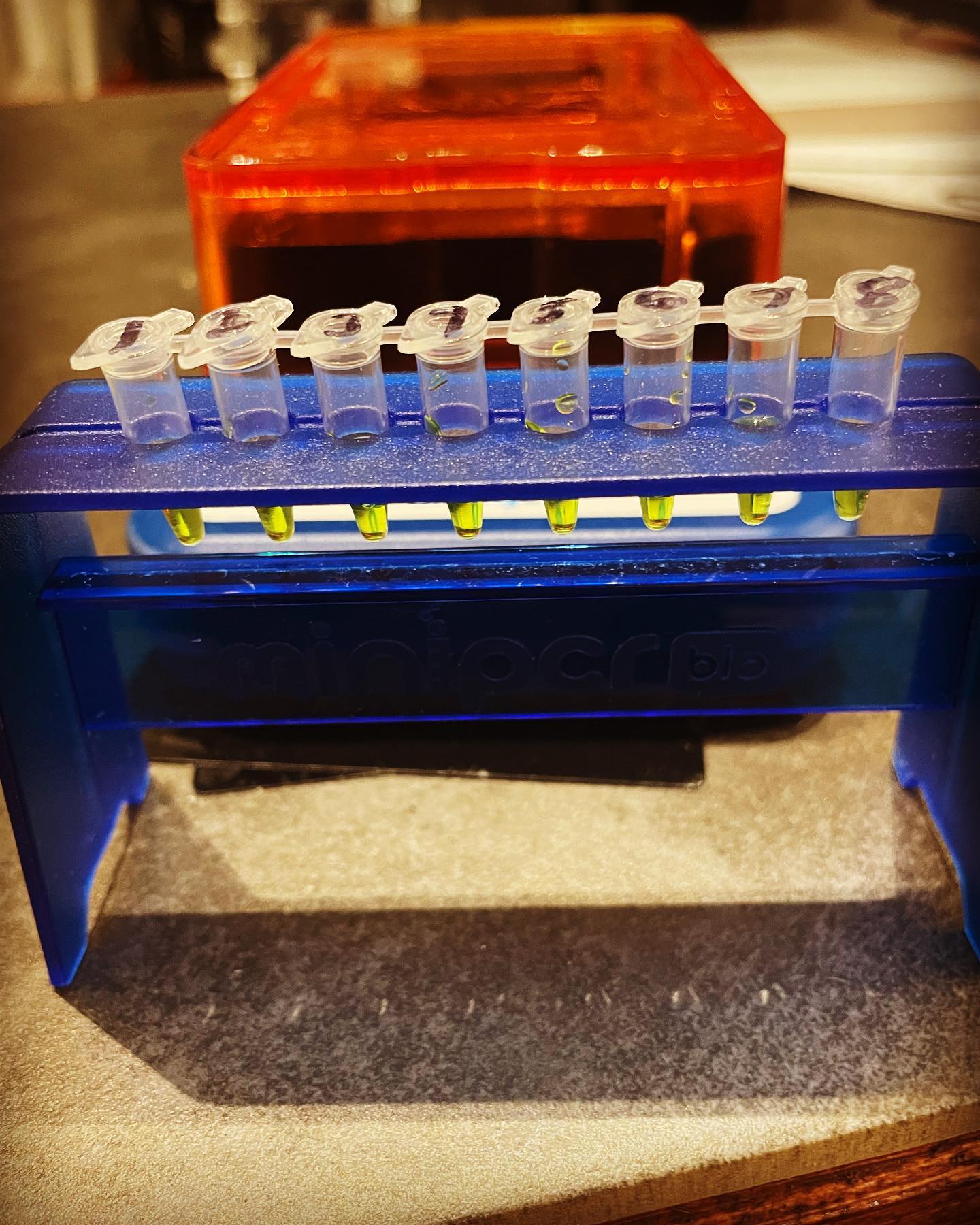 Veterinary Appointment Booking